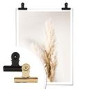 Póster 1X Estudio - Hierba de la pampa atada