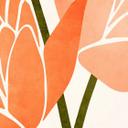 Papel pintado Flor de loto de colores - papel pintado floral - cubistika