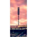 Autocollant de porte FC Hansa Rostock - Flûtlichtmast - 91x200 cm