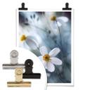 Póster Disher - La flor blanca