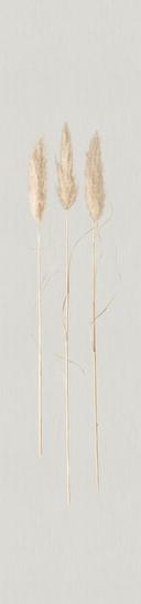 non-woven tapet naturlig opulens hvid grafik 3,30 x 0,70 cm