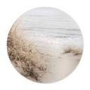 Poster 1X Studio - Dunes on the beach