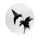 Alu-Dibond Rund - Ireland - Hummingbird – print på aluminium (Alu-Dibond)