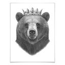 Plakat - Korenkova - King Bear