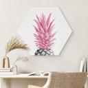 Hexagon Dibond 1X Studio - Pink Pineapple