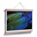 Póster Colores Tropicales