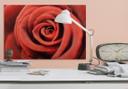 Red Rose – Alu-dibond Koper