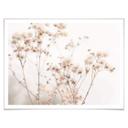 Plakat - Lovely Pastels