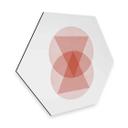 Hexagon Dibond Nouveauprints - Circles and Triangles