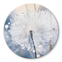Glasbillede - Sparkling Dandelions - Treechild - Rund
