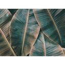 Grønt og brunt fototapet Designwalls non-woven tapet BananaLeaves palmetræer jungle