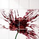 Azulejos Adhesivos Amapola Roja - lote de 12