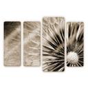 Tableau en verre - Pissentlit (4 parties)