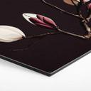 Hexagon Dibond Treechild - Magnolia Blossoms