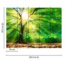 non-woven tapet ForestLight træ fototapet Designwalls i grøn og brun 