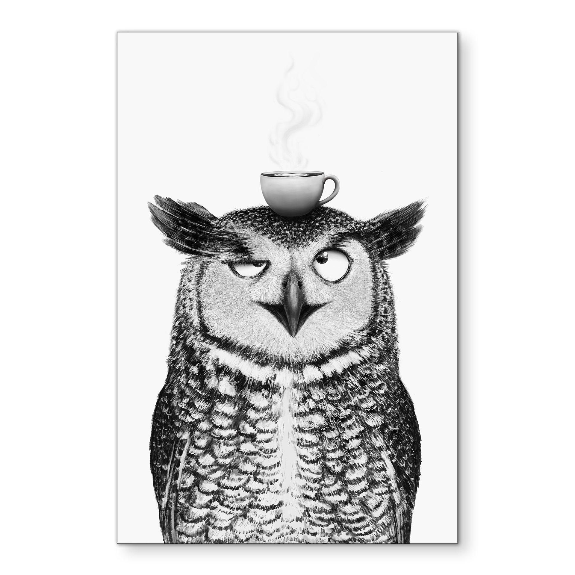 Tableaux Hibou amusant avec café - Korenkova - Alu-Dibond