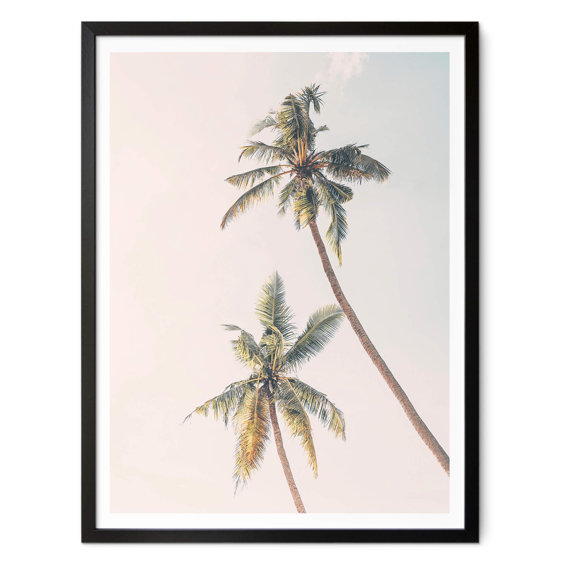 Póster Sisi & Seb - Palmeras al viento