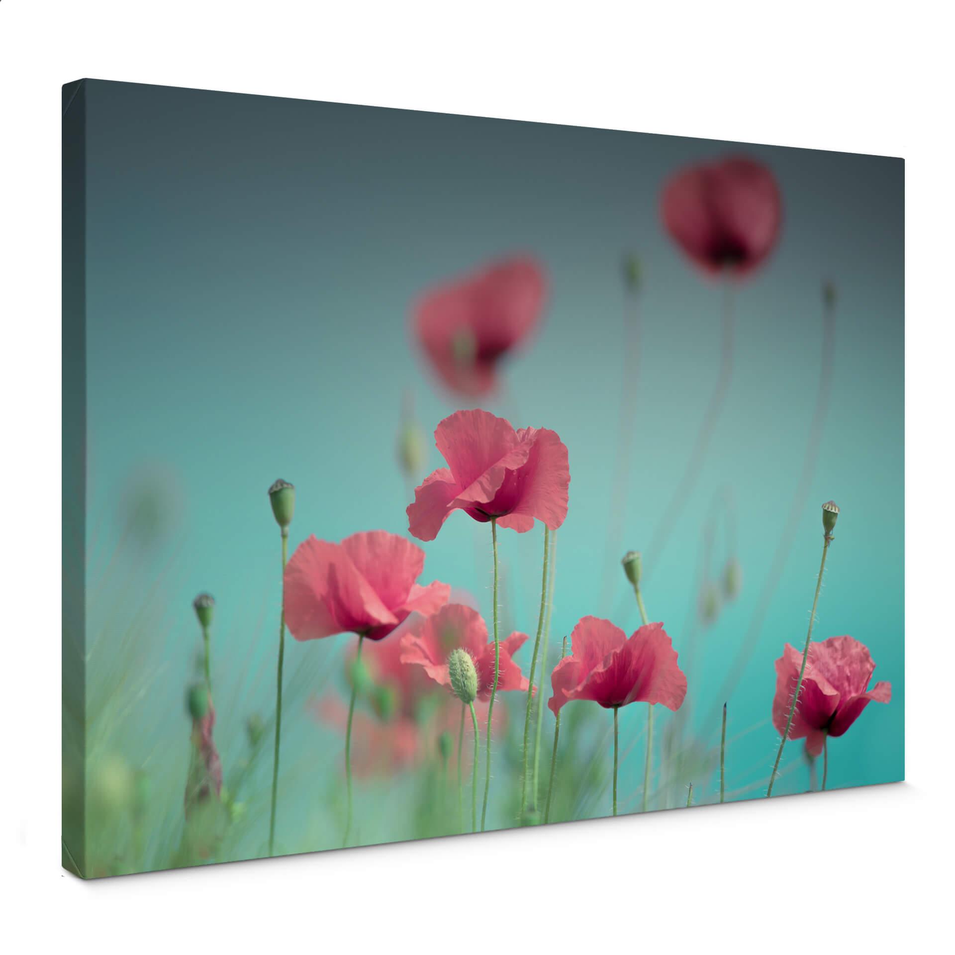 Leinwandbild Delgado – Mohnblumen Pastell