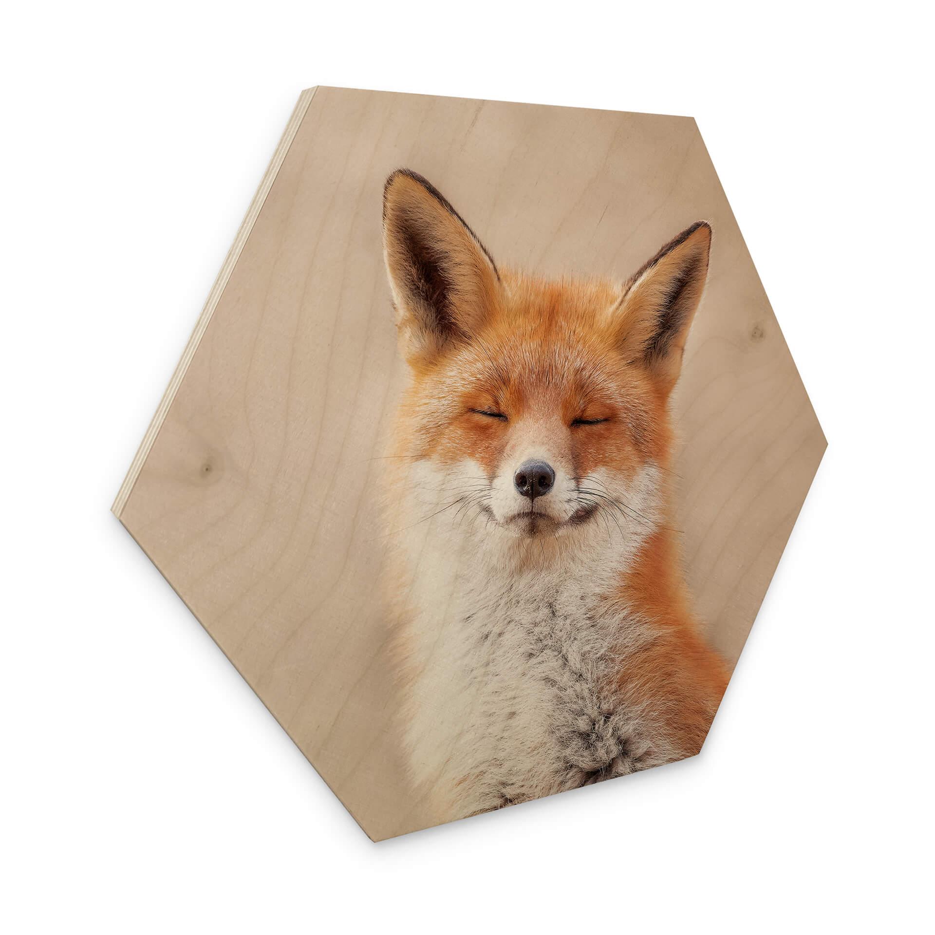 Hexagone - Bois van Duijn - Renard content