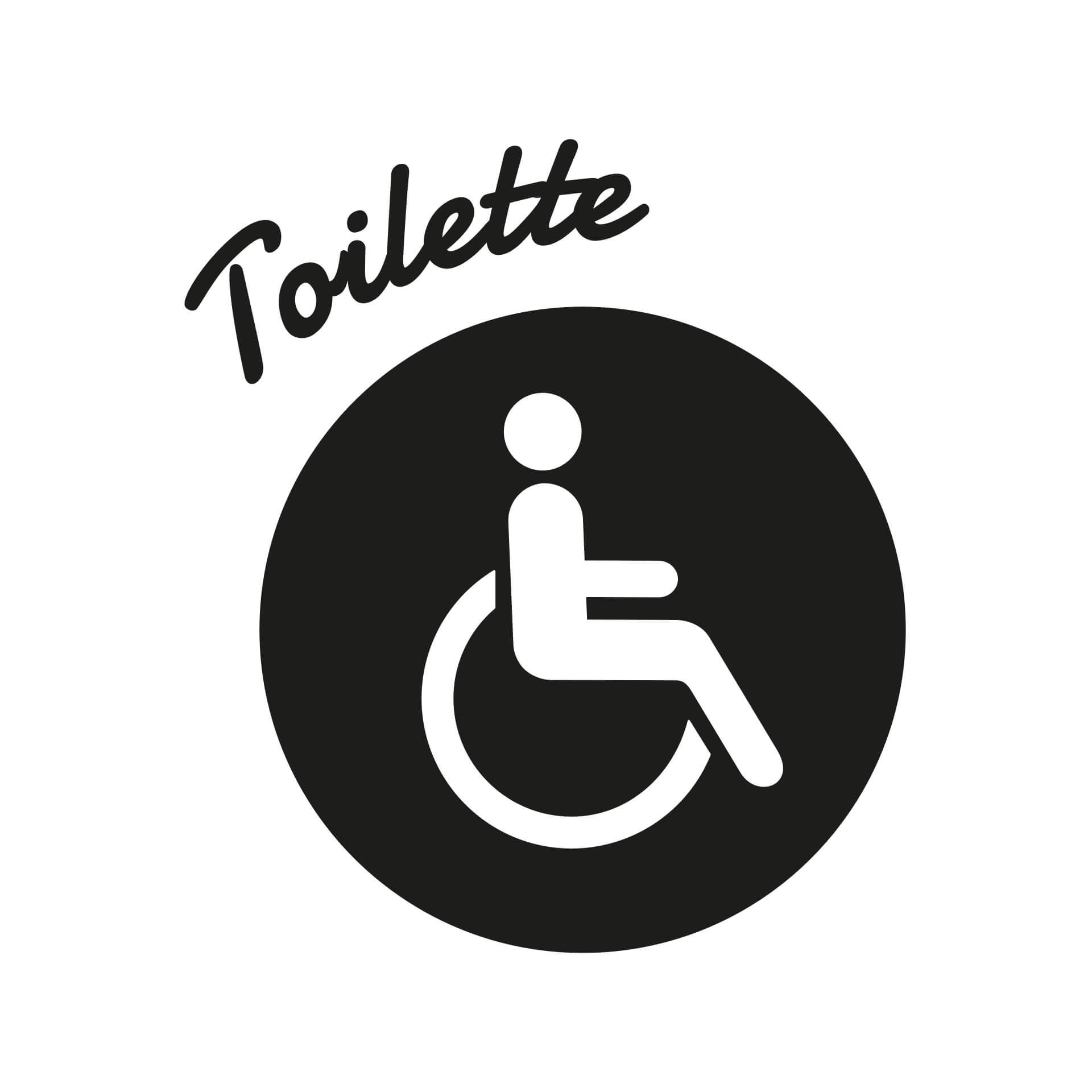 Toilette per disabili