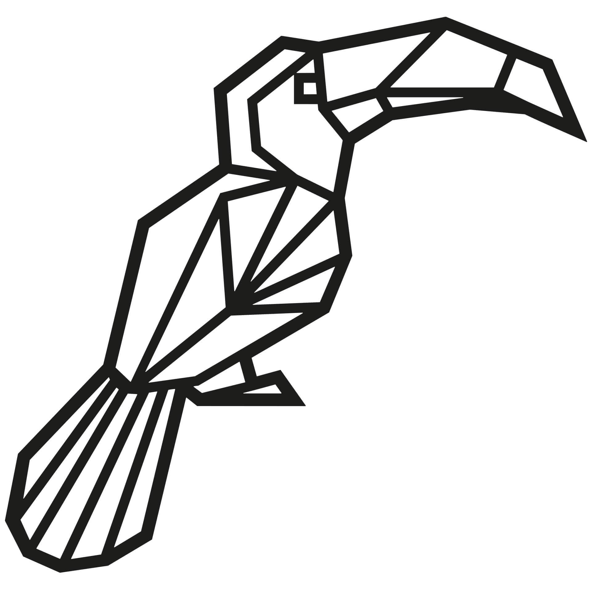 Adesivo origami - Tucano