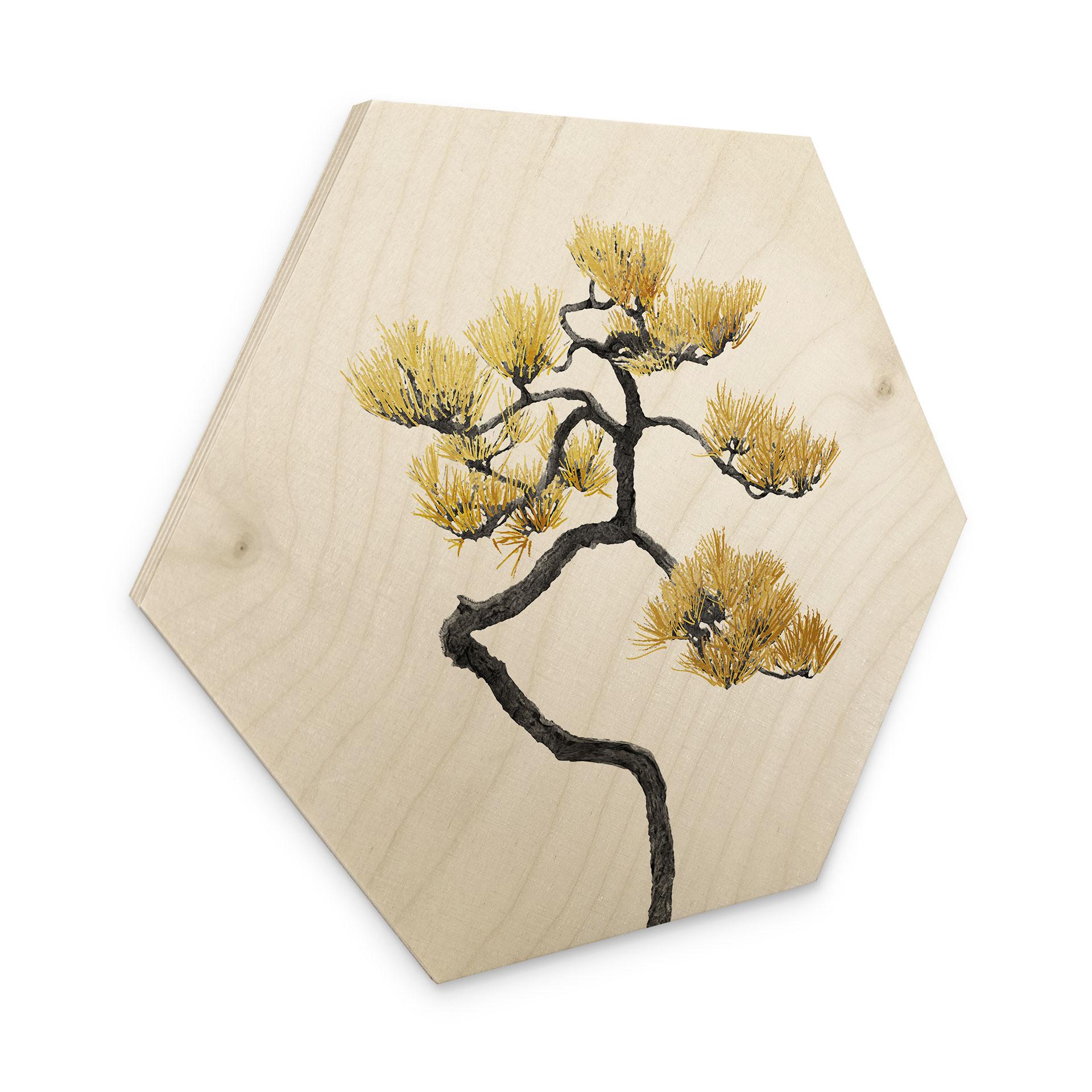 Sekskantet træ Bonsai i balance - Amini