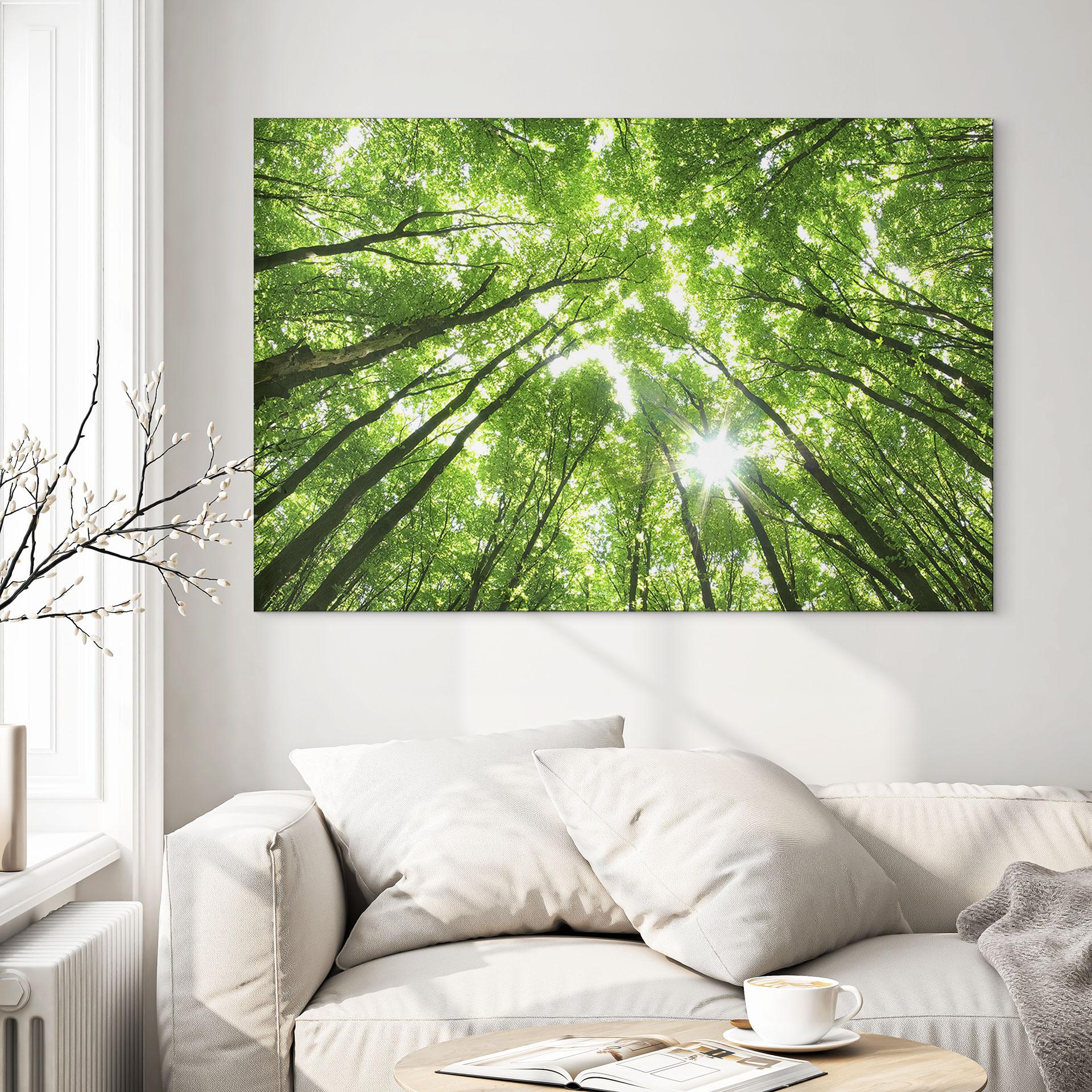 Wandbild Baumkronen im Wald - Alu-Dibond