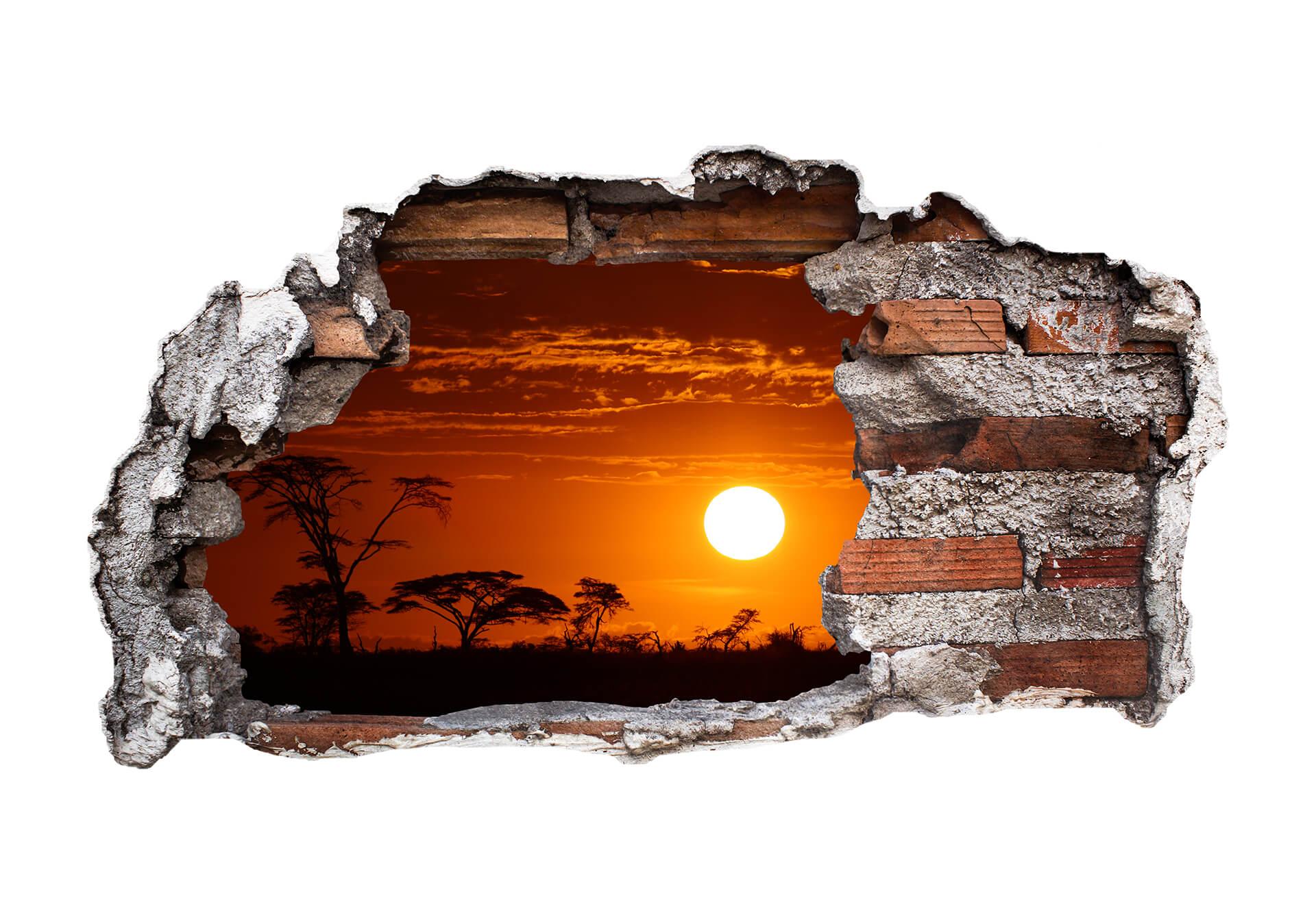 Adesivo 3D - Tramonto africano