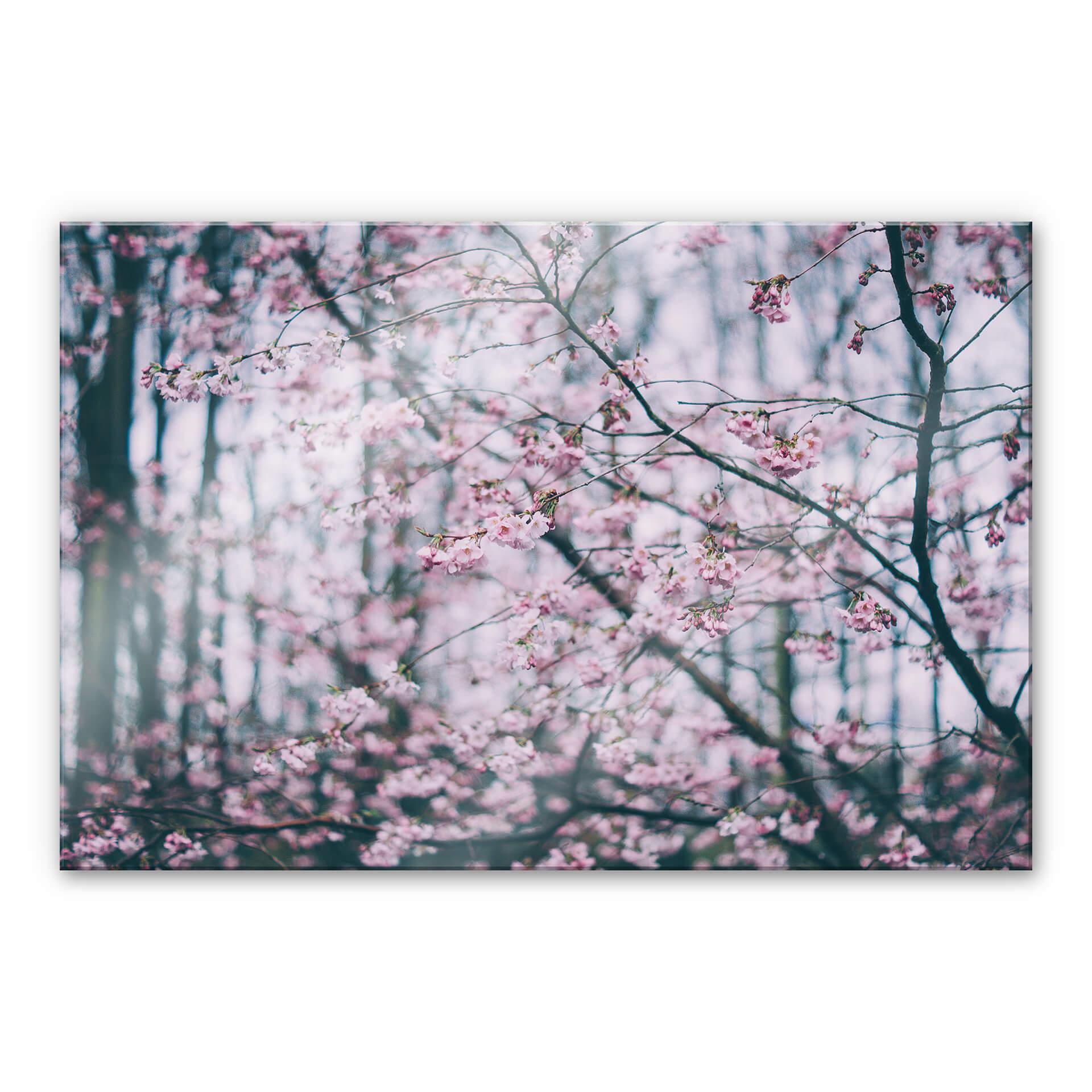 Akrylbillede Pink Flower Dream 03
