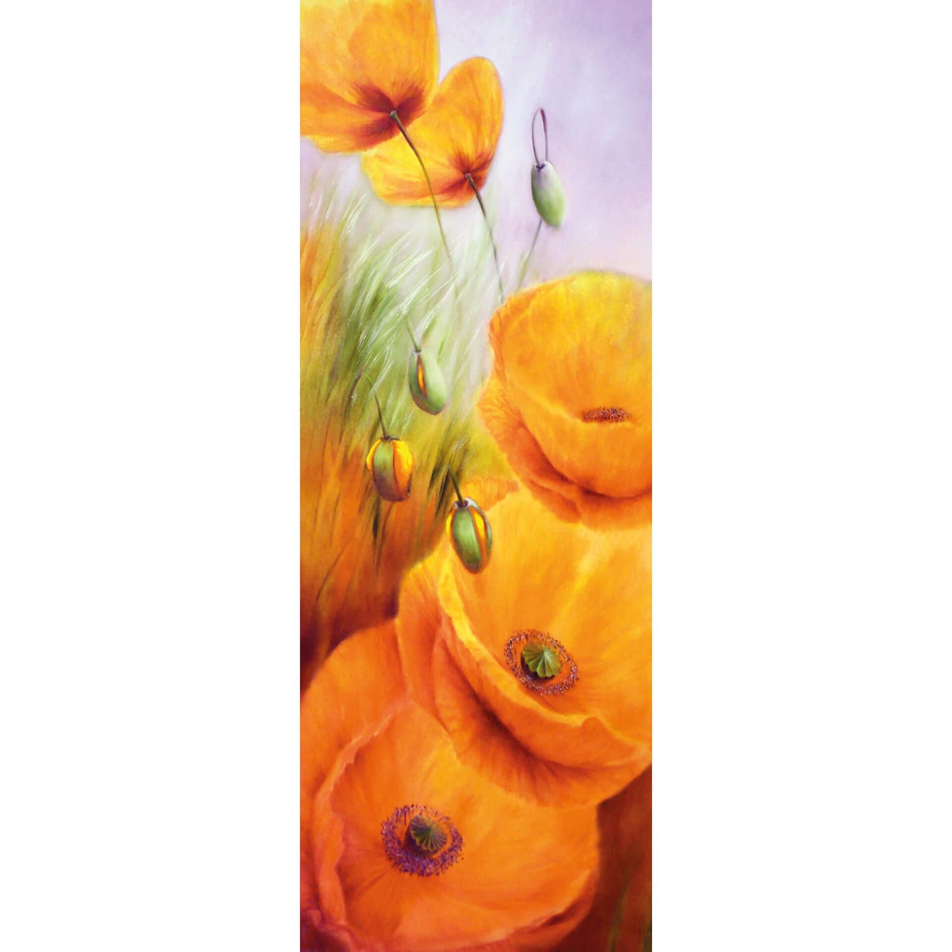 Fotobehang Schmucker - Poppies in the Field