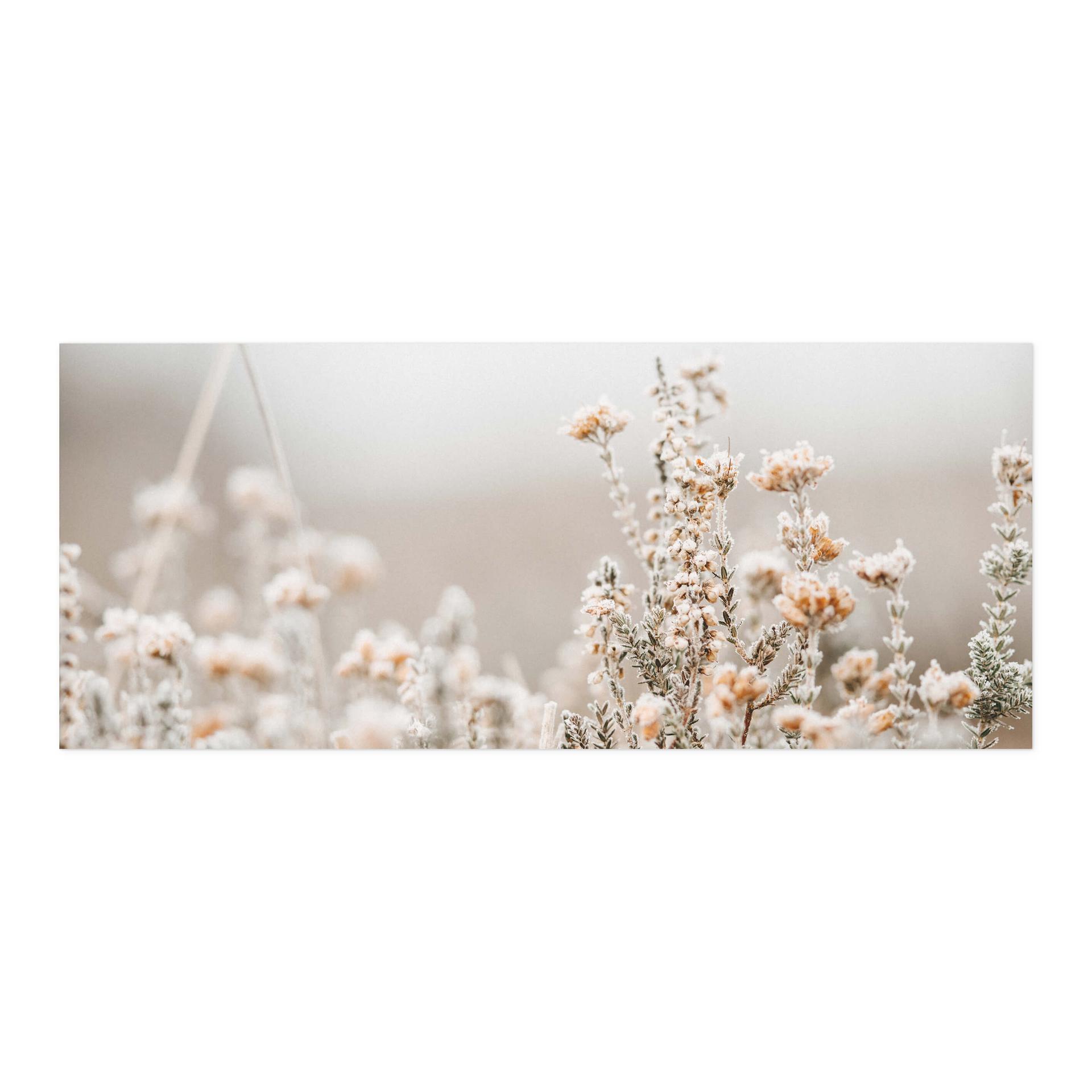 Zelfklevende Keukenachterwand Annie - Ijsbloemen