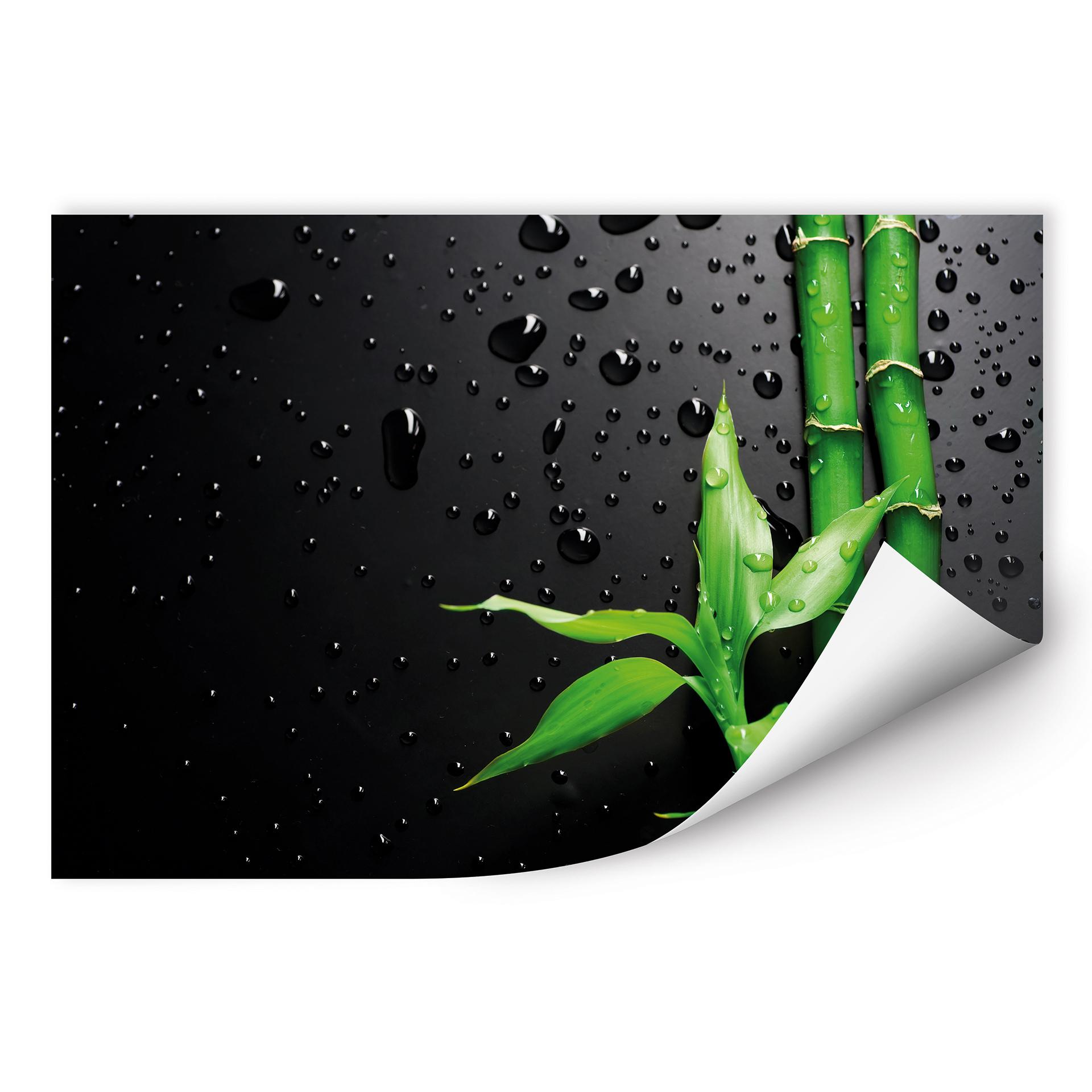 Poster autocollant - W - Bambou sur Fond Noir