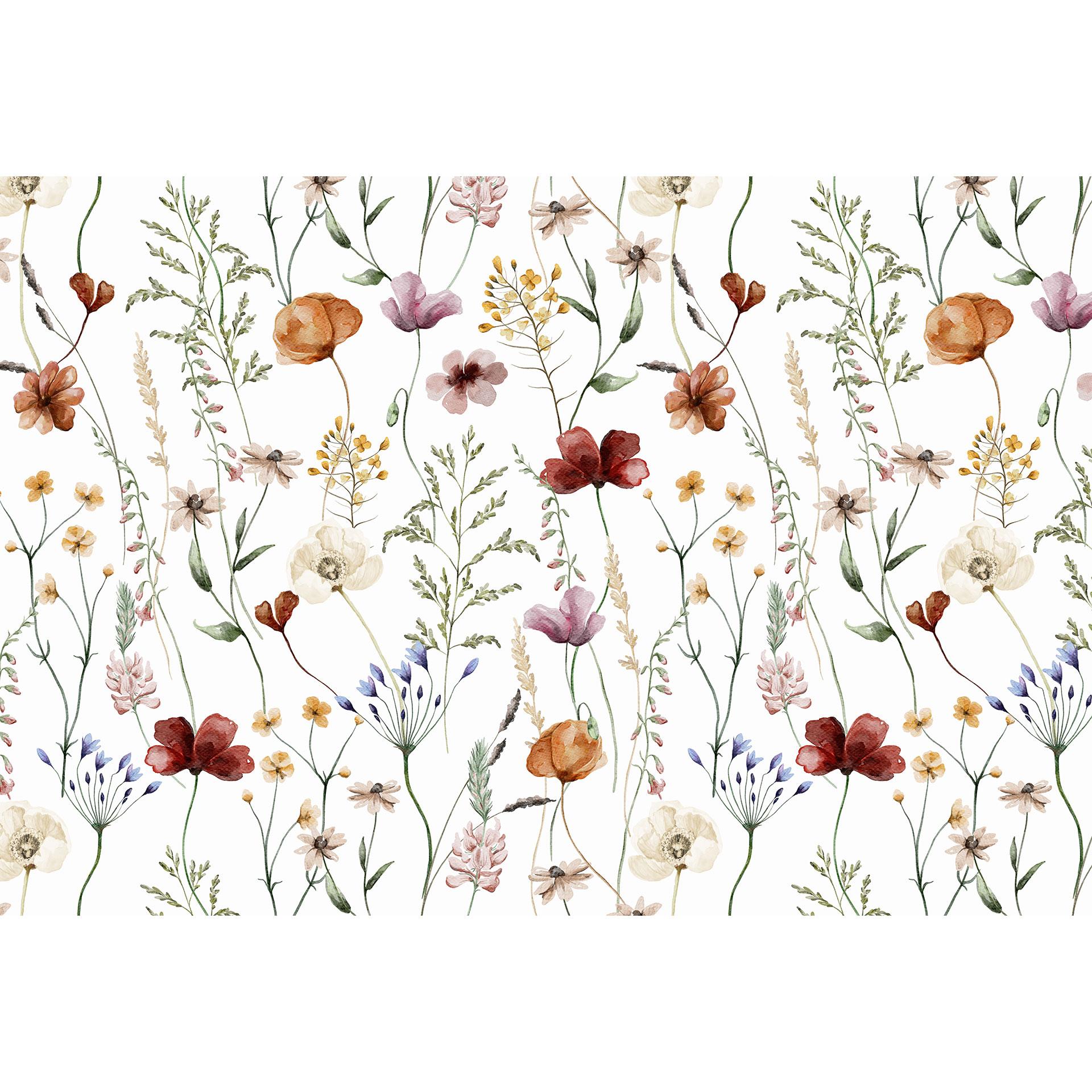 Fotomurale Fiori di campo colorati - UN Designs