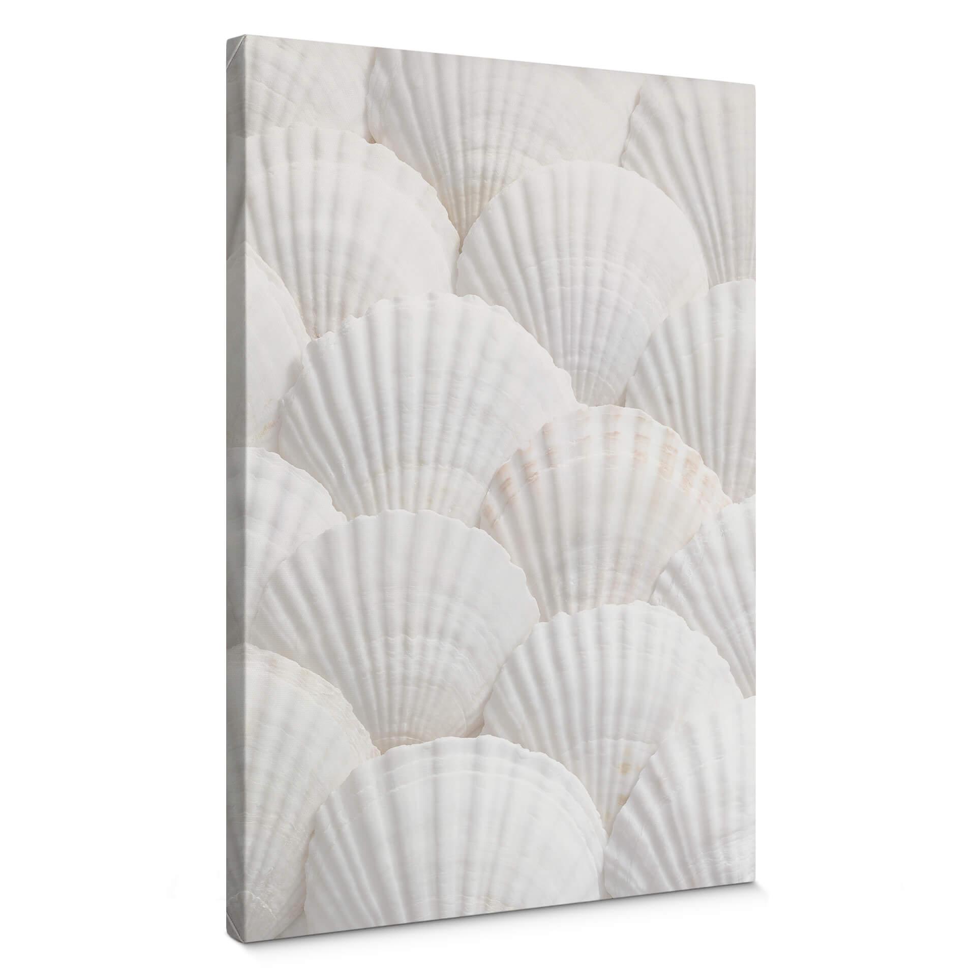 Canvastavla 1X Studio - Shell Ensemble
