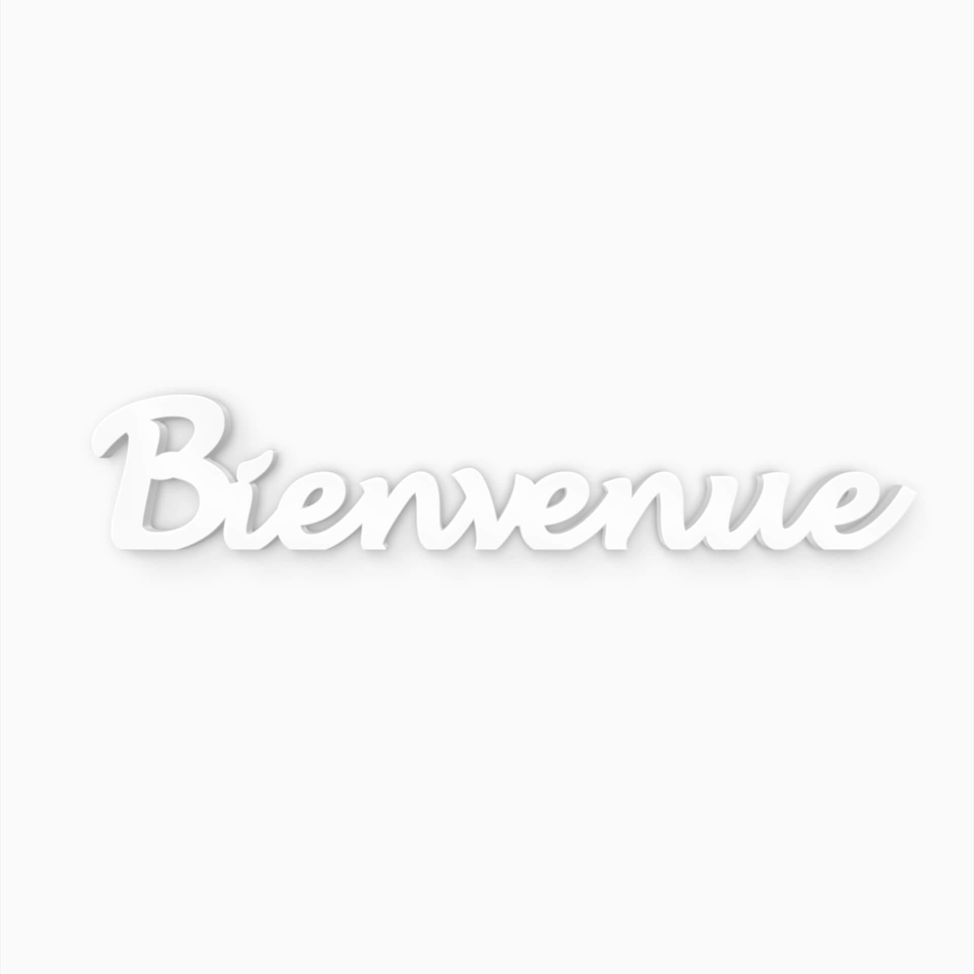 Scritta 3D - Bienvenue