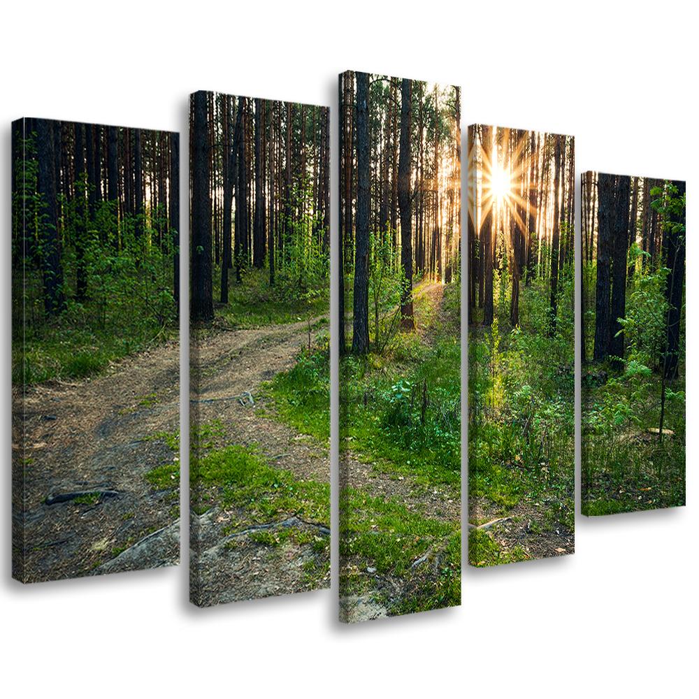 5 stykke lærredstryk, skovnaturvejlandskab
