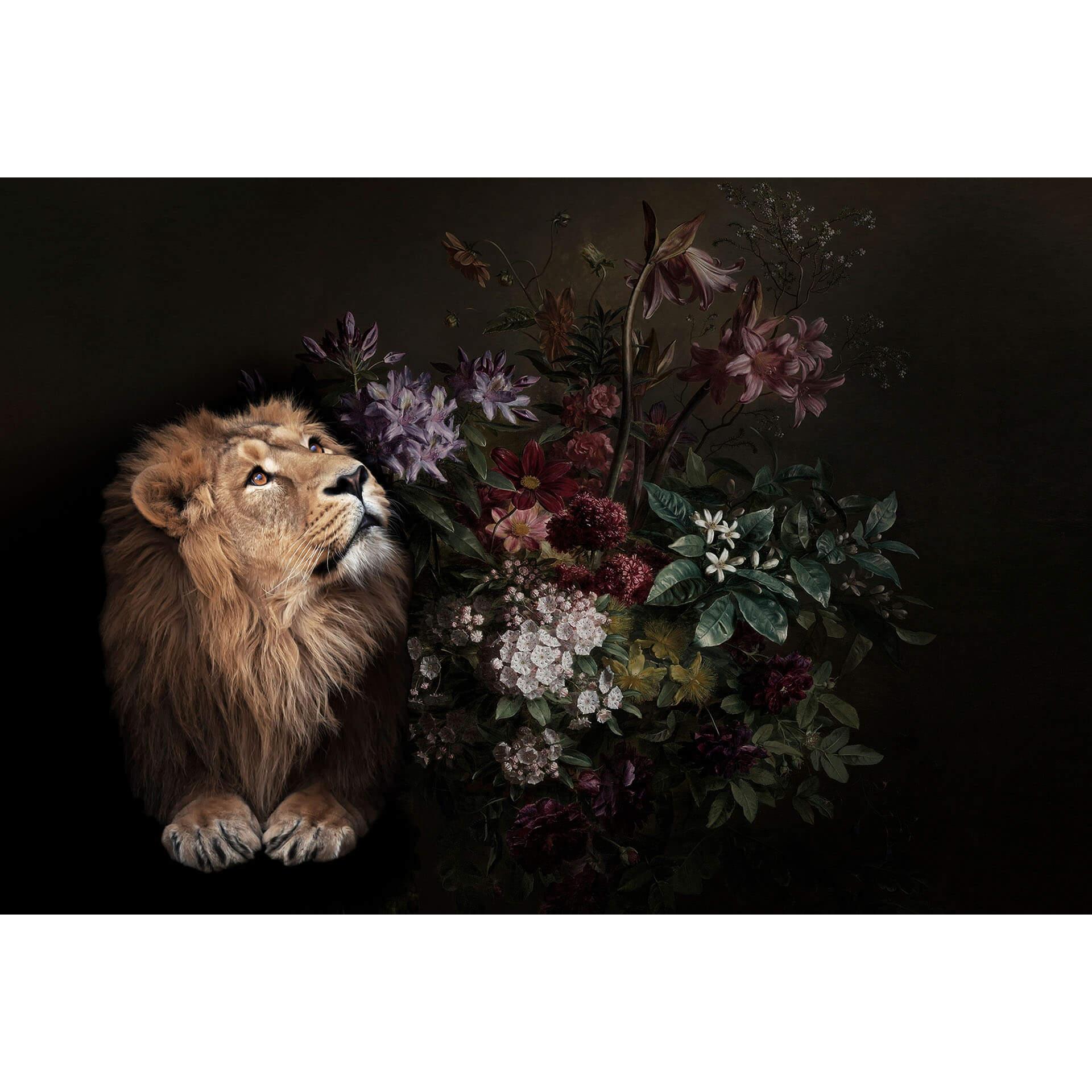 Livingwalls Fotobehang Walls by Patel wildlife 2