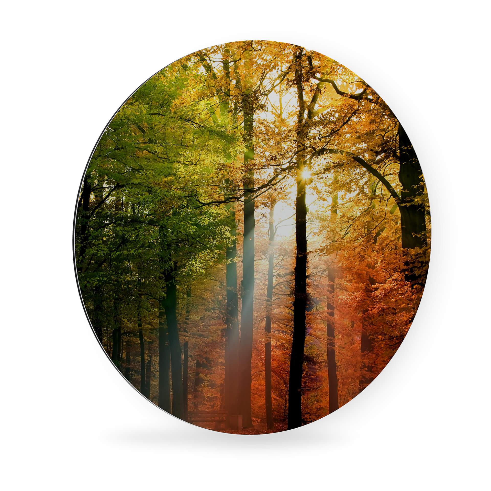 Alu-Dibond - Gouden Herfst