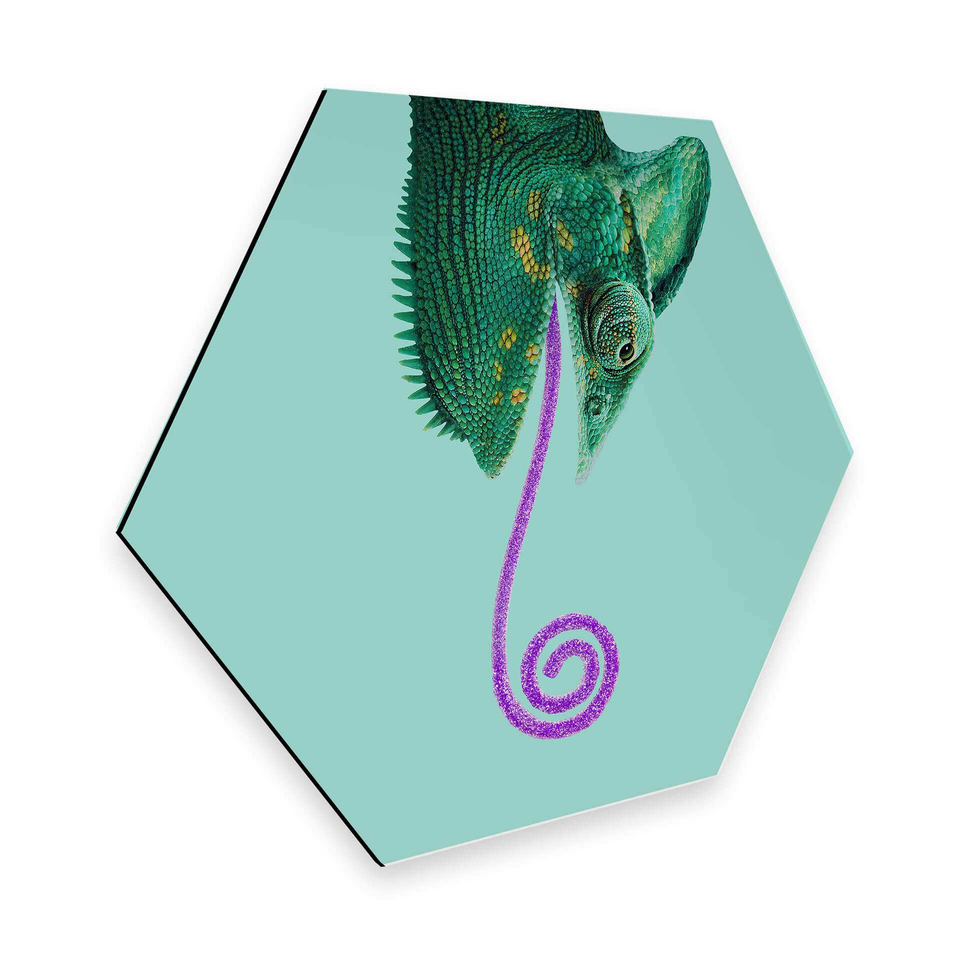 Hexagon - Alu-Dibond Loose - Candy Chameleon