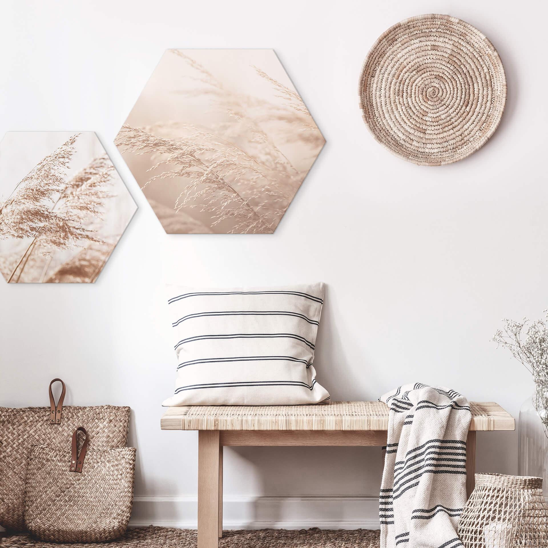 Hexagon Dibond Morning Light