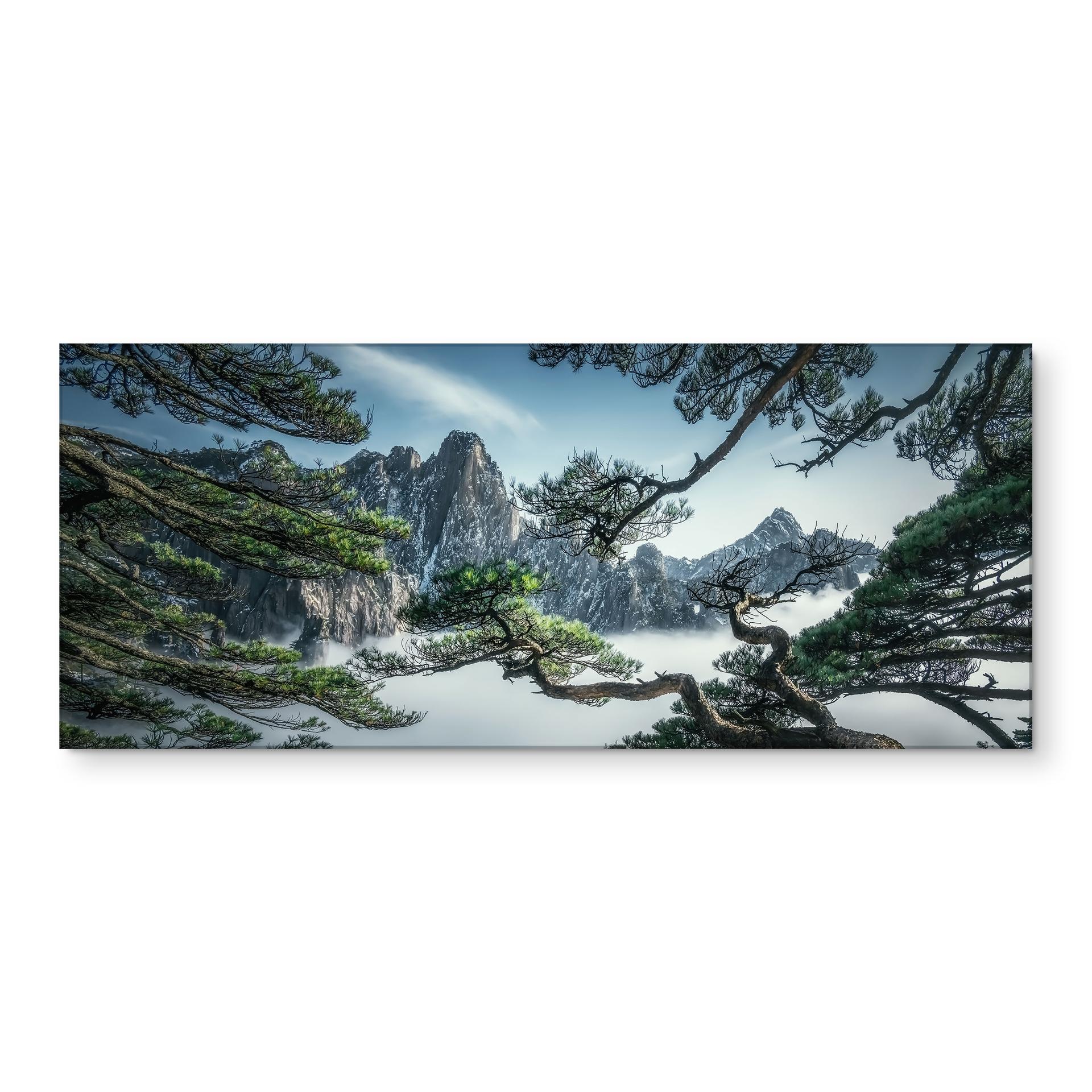 Fyrreskov på køkkenbordet i Huang Shan-bjergene - NingYun Ye