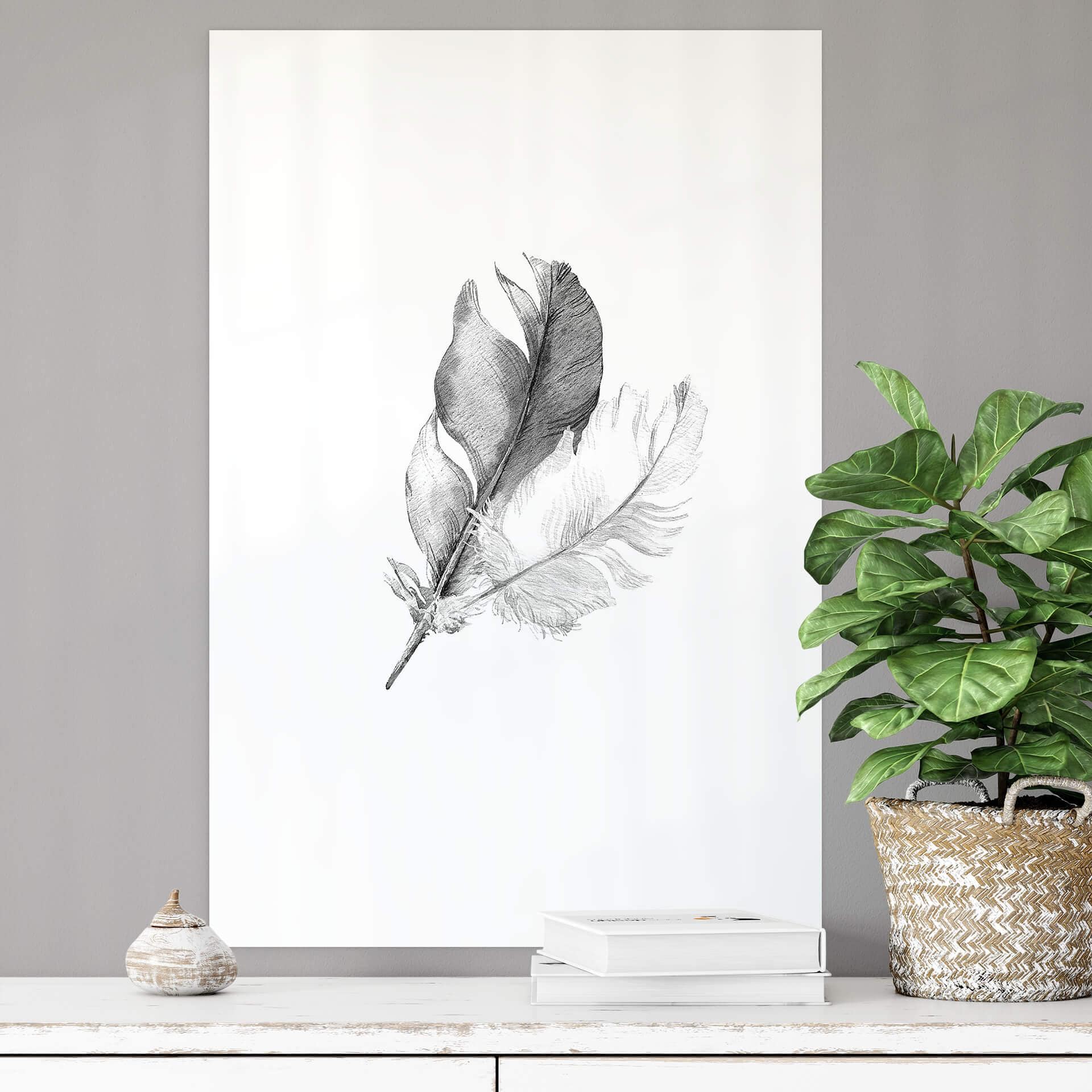 Wallprint - Piume