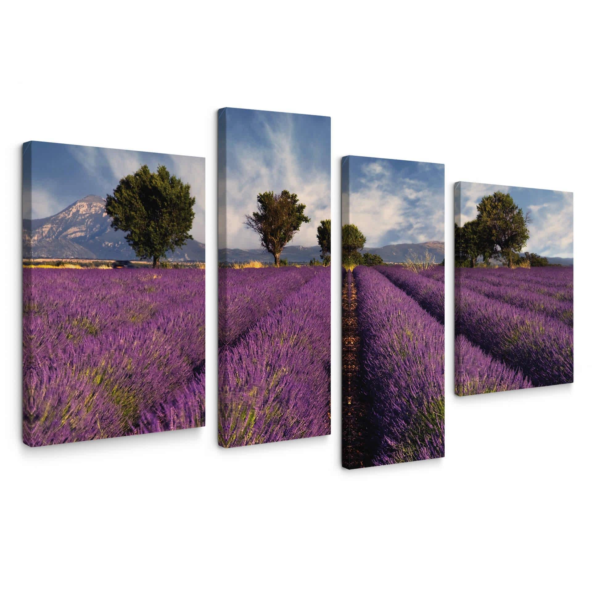 Tableau sur toile - Champ de lavande (4 parties)