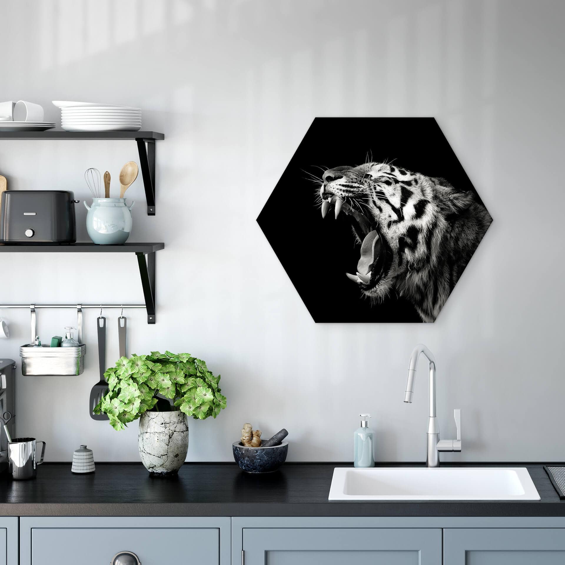 Esagoni Alu-Dibond Meermann - Tigre