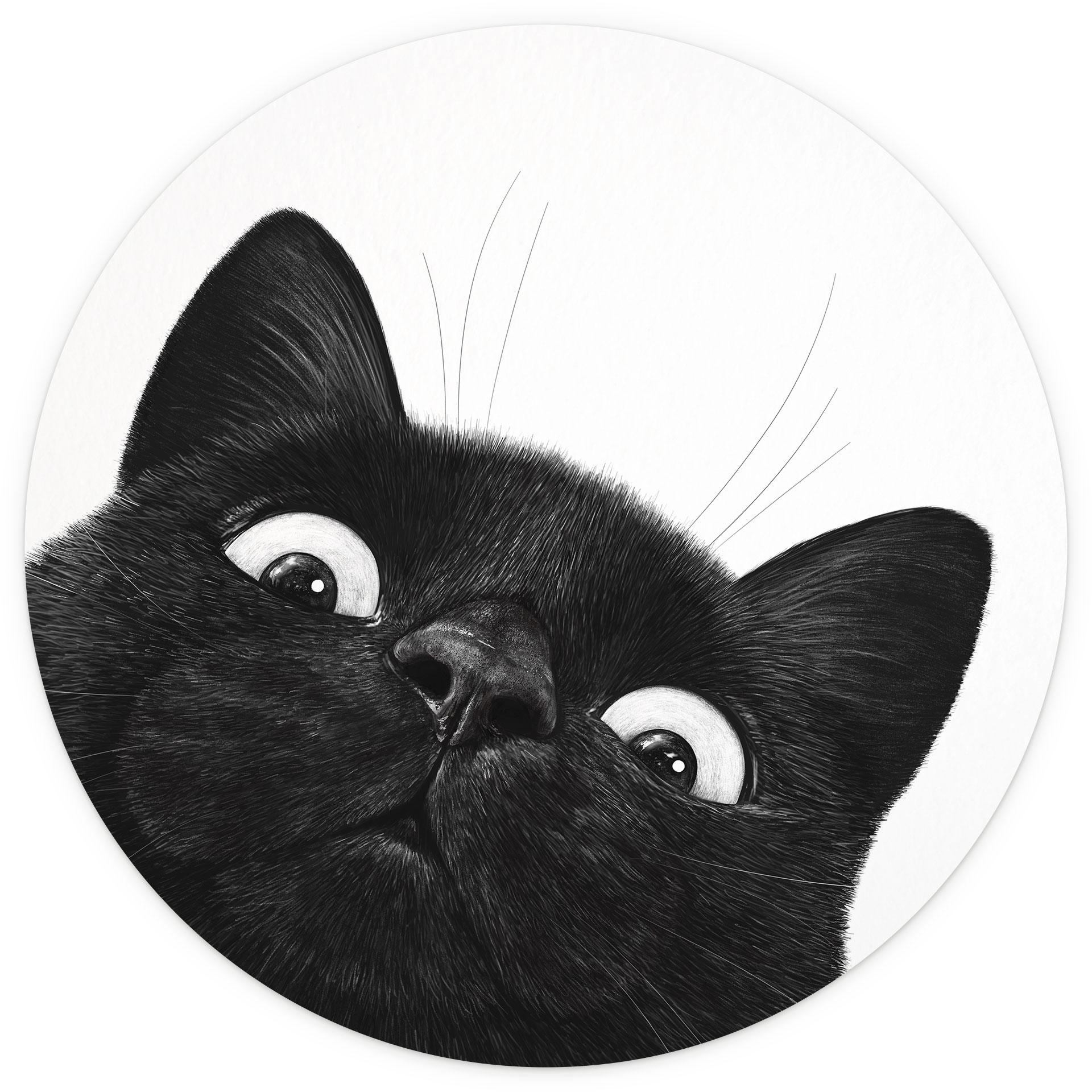 Fotobehang Grappige zwarte kat - Korenkova - Rond