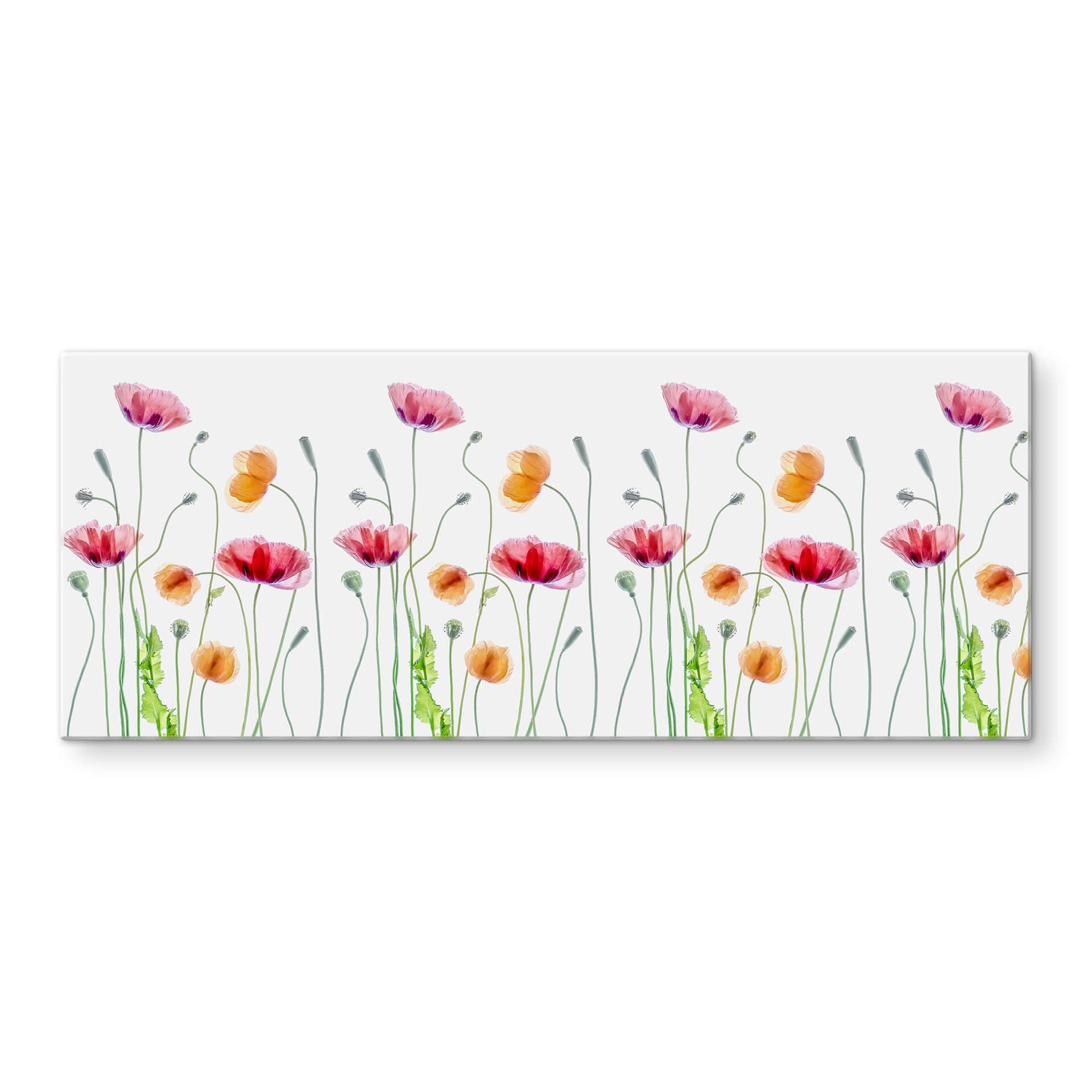 Stænkplade Disher - Colourful Poppies