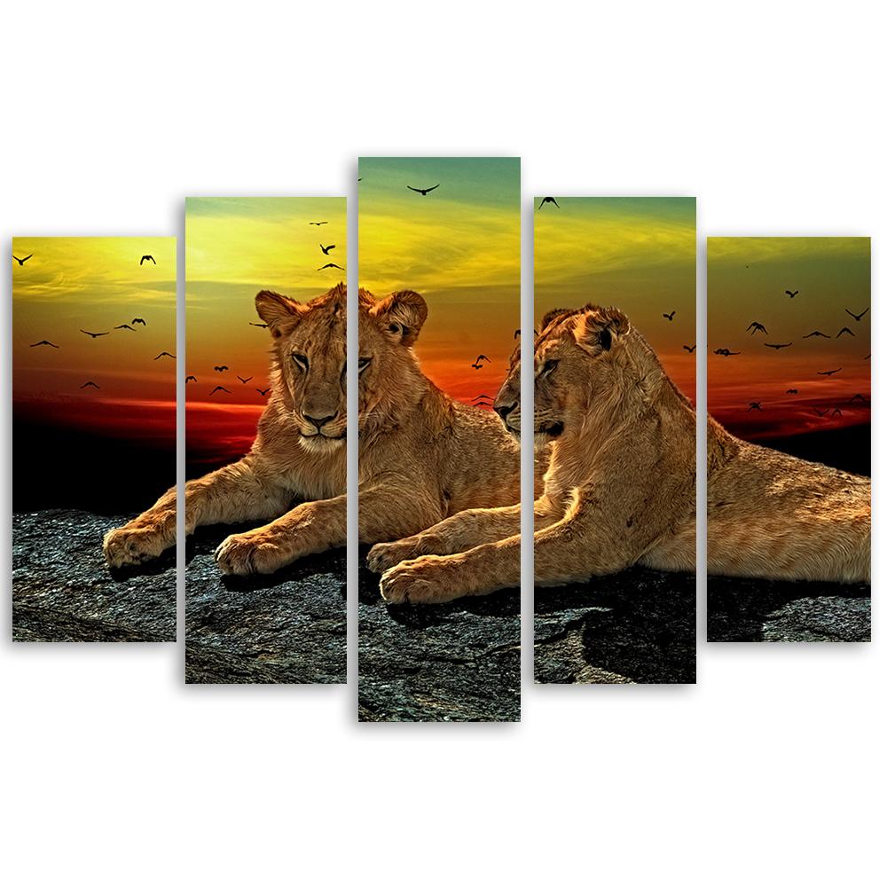 5 stykke lærredsprint, Lion Savannah Africa Nature