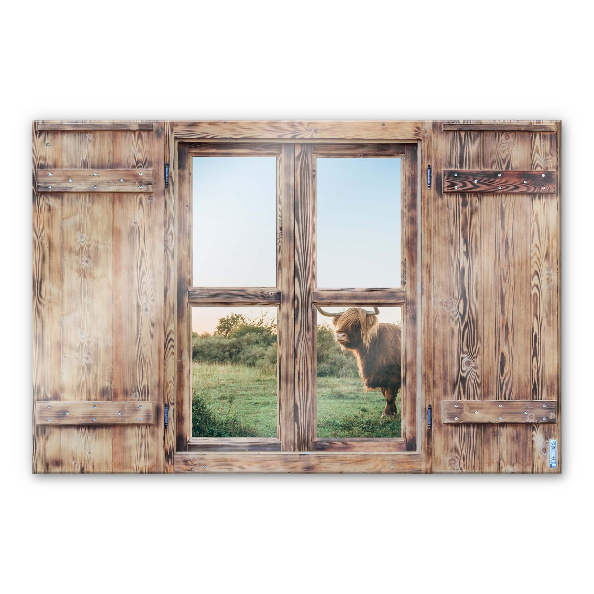 Glasschilderij Trompe L'oeil - Highland Cow 01