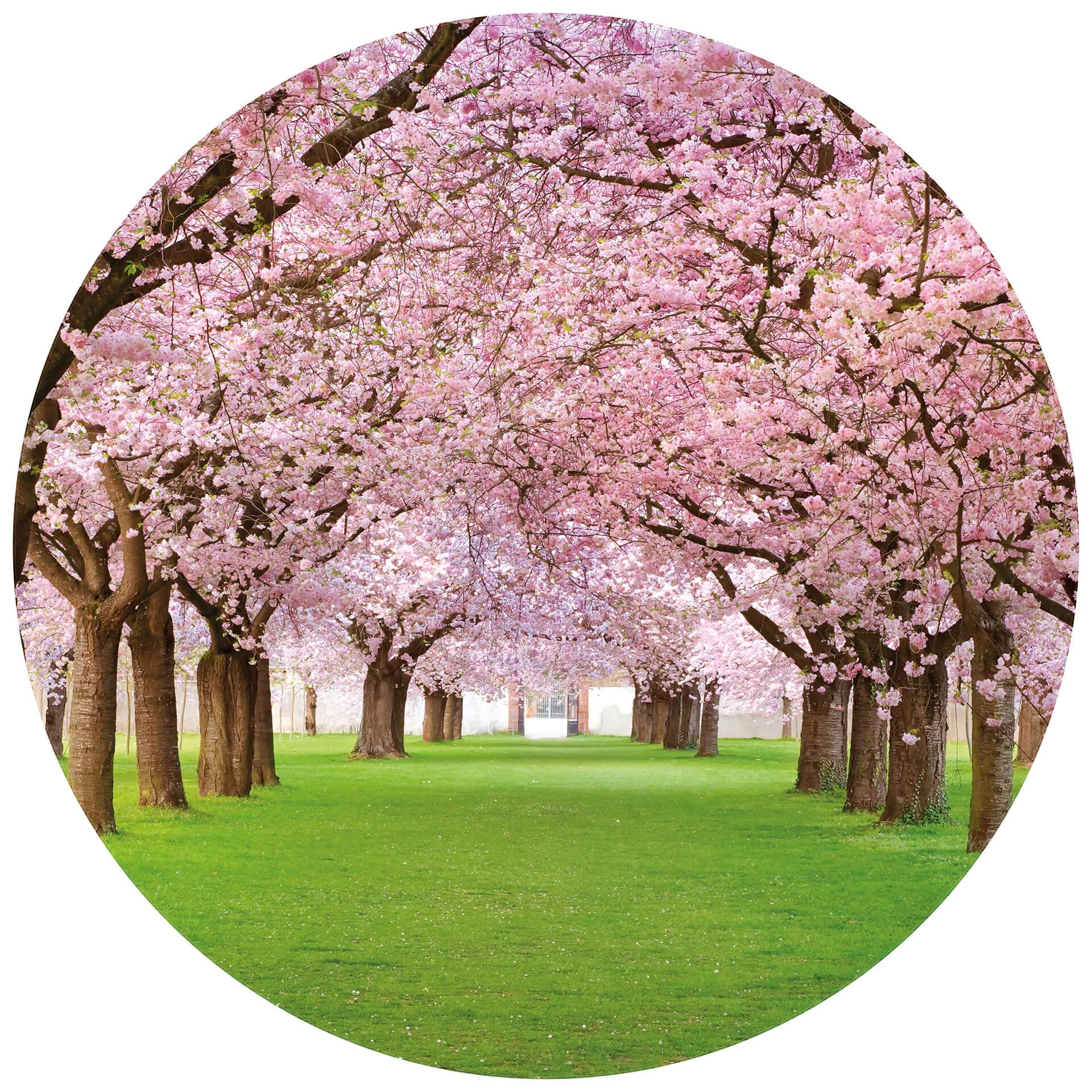 Fototapete Frühling - Rund - Selbstklebend/Vlies