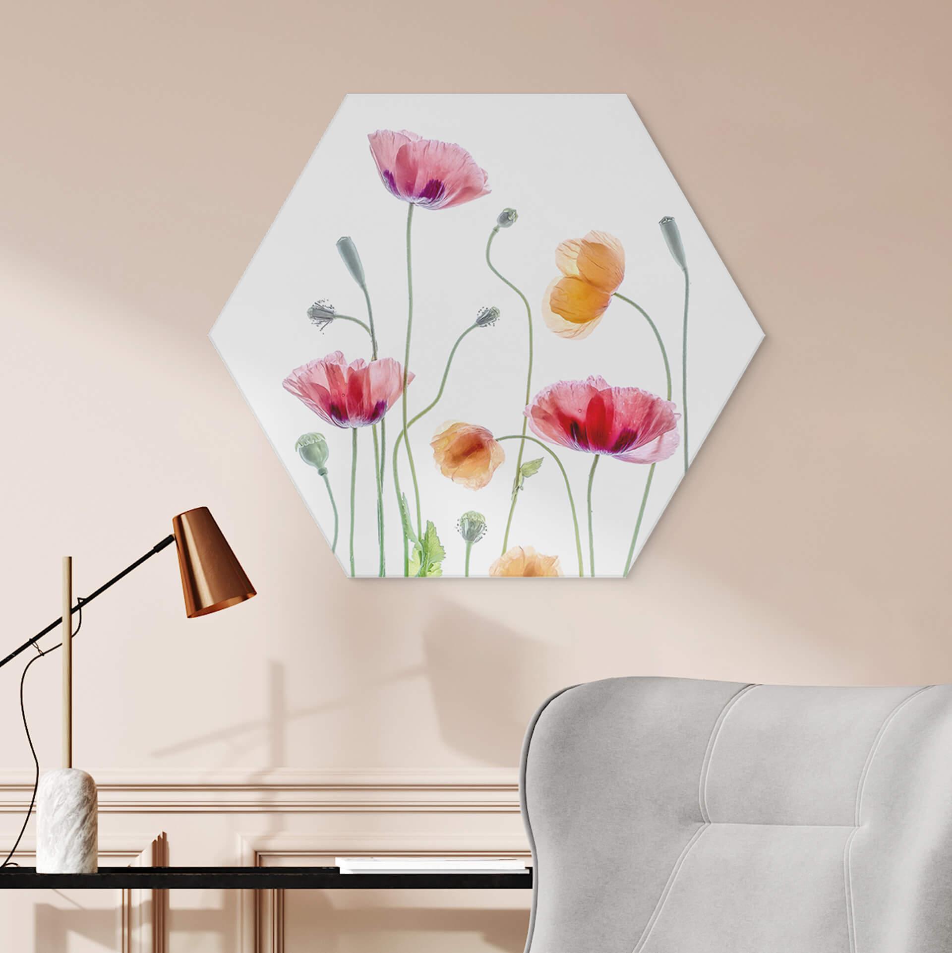 Hexagon Dibond Disher - Colourful Poppies